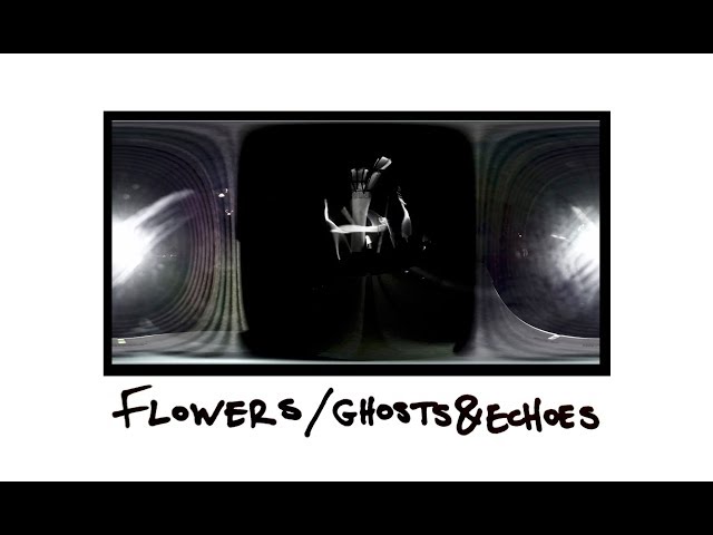 Flowers /Ghosts &Echoes - a moment