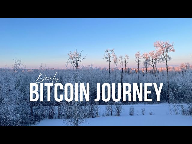 daily bitcoin journey #279 - team bitcoin