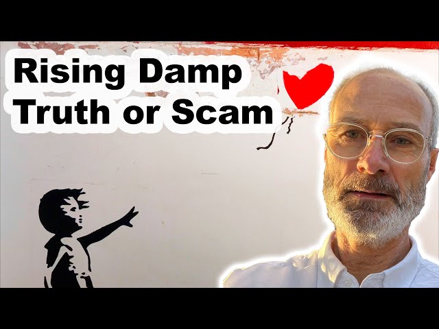 ❤️ Rising Damp - 🤔 Truth or Scam ⚠  #RisingDamp #DampProofing #DampSurvey #SkillBuilder #RogerBisby