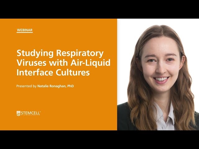 Studying Respiratory Viruses with Air-Liquid Interface Cultures