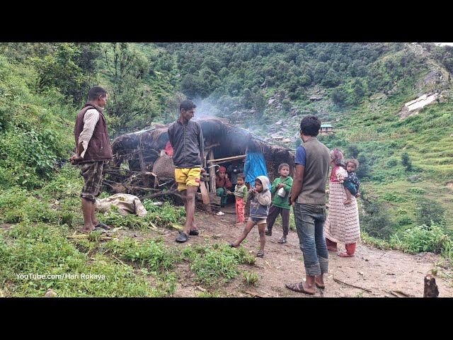 This is Himalayan Nepali Village Lifestyle | Organic Food Cooking in Countryside Nepal | Hari Rokaya