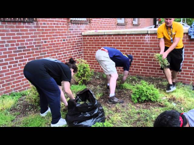 Naval Support Activity Hampton Roads Sailors Conduct Base Cleanup