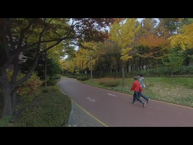 반포자이 가을산책 한국여행 Banpo Xi Autumn Walk in Korea.