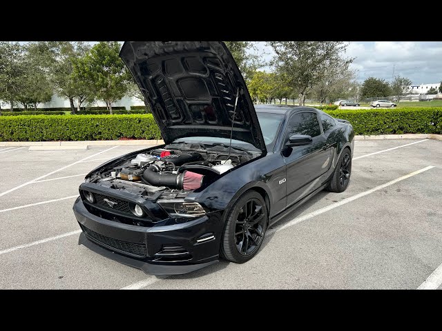 FBO 2014 MUSTANG GT POV! *HARD PULLS*🔥🔥 392 Tried To RACE😈