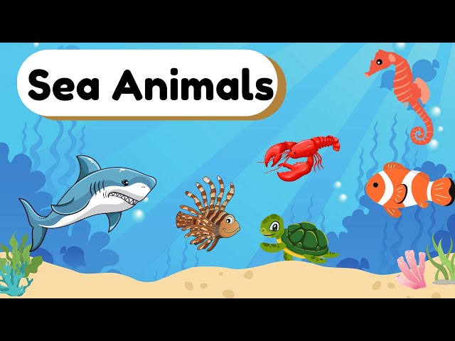 Sea Animals for kids | Learn Ocean Animals | Aquatic Animal Names | Water Animals