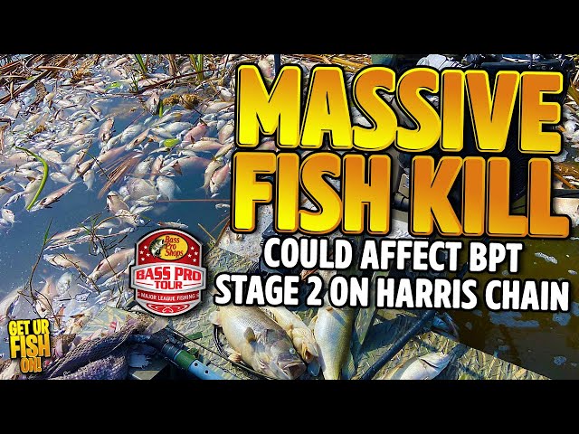 MASSIVE FISH KILL Could Change Bass Pro Tour Stage 2