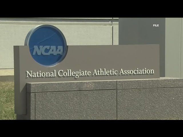 NCAA changes transgender policy to limit women's competition to athletes assigned female at birth