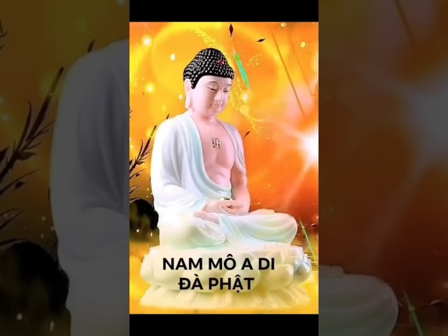 nam mô a di đà phật