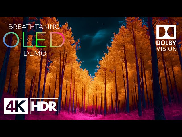 Breathtaking 4K Video Ultra HD | 4K HDR 60fps Dolby Vision™