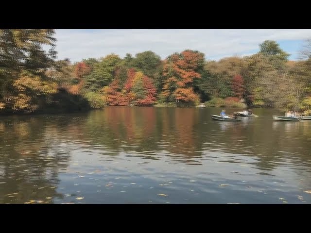 Central Park - 360 Degree Video - The Lake Near Bethesda Terrace