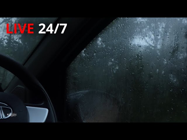 🔴 Stormy Rain & Thunder from Inside Car | Help Study, Meditation, PTSD, Insomnia & Tinnitus