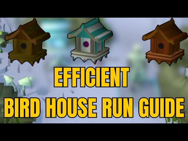 OSRS Birdhouse Run Guide 2025 | Efficient & Fast Hunter XP