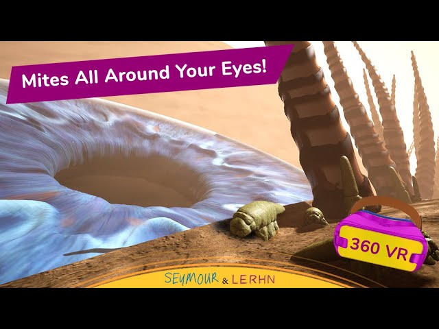 How Many EYELASH MITES on Your Face? - 360 VR Video