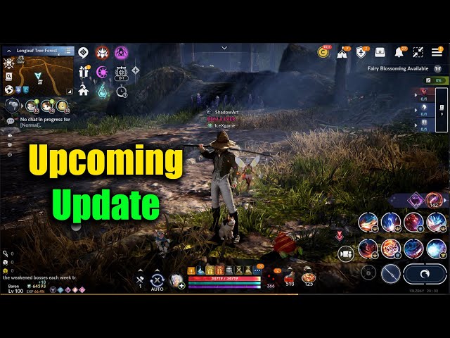 Black Desert Mobile Upcoming Update