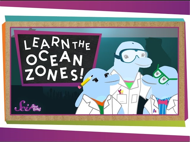 Let's Learn the Ocean Zones!