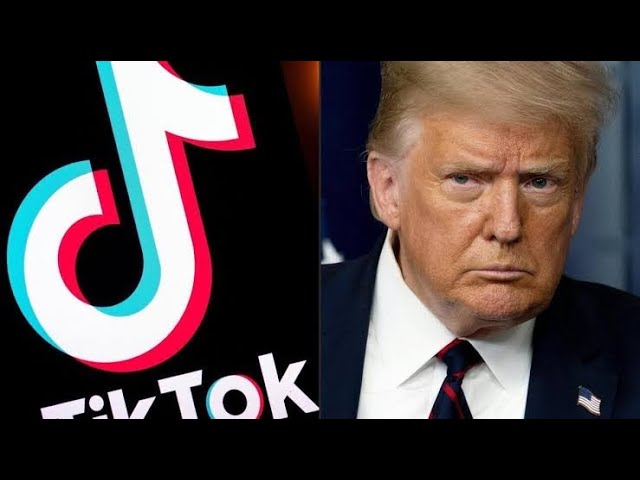 President Donald Trump wants half of TikTok: $500 Billion