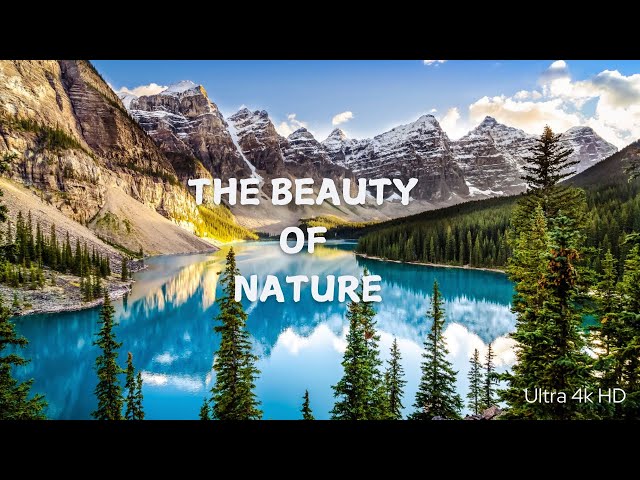 THE BEAUTY OF NATURE  and  the world | HD Video