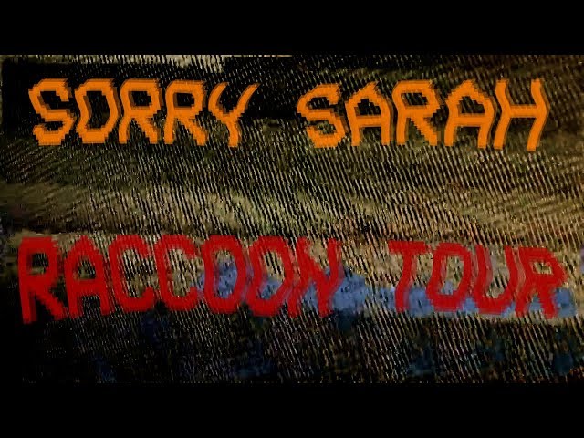 Raccoon Tour - Sorry Sarah (OFFICIAL AUDIO)