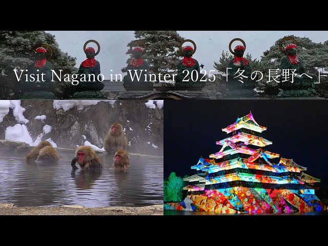 Snow monkeys bathing in hot springs, Zenkoji Temple, Matsumoto Castle projection mapping!