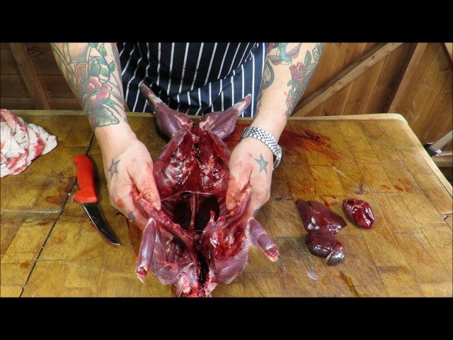 Wild Hare..How To Skin, Gut And Prepare A Hare. #SRP.