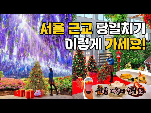 ☃️서울 근교 겨울에 놓치면 후회하는 역대급 여행 코스 [럭셔리 크루즈 타고 가평 여행 가볼만한곳, 가평크루즈 달빛투어] korea winter travel