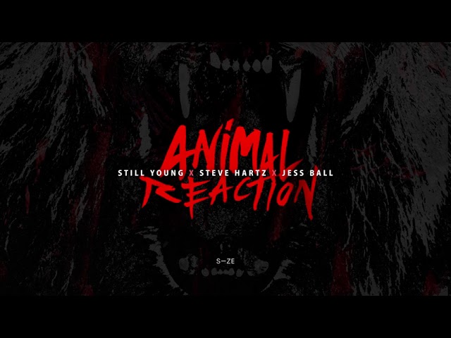 Still Young x Steve Hartz x Jess Ball - Animal Reaction