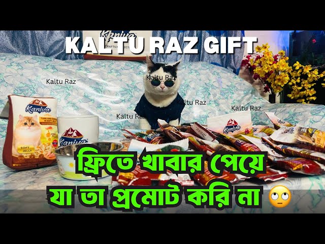 বিড়ালের জন্য কোন Catfood  টা ভালো? | Kaltu Raz Vlog | Cat Vlog | Cute cat