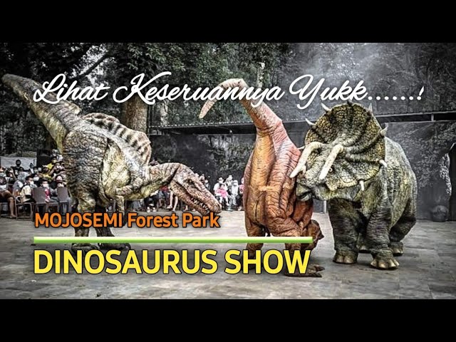 Dinosaurus Show | Viral, Ada Dinosaurus Mengamuk di Mojosemi Magetan, Tonton Yuk !