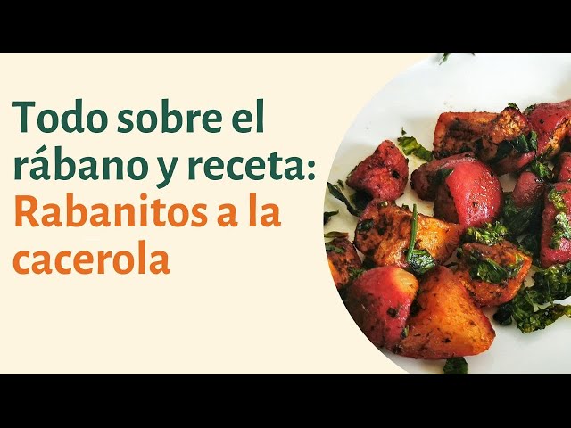 Rábanos: propiedades, usos y una receta para tus almuerzos saludables