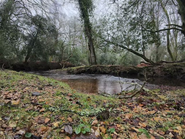 New Forest (UK) river sound for sleeping