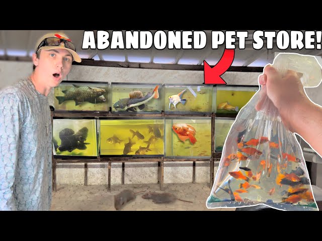 Saving Fish From Abandoned Pet Store!