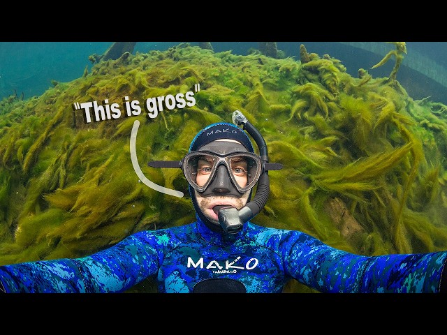 I Snorkeled a Dying Spring