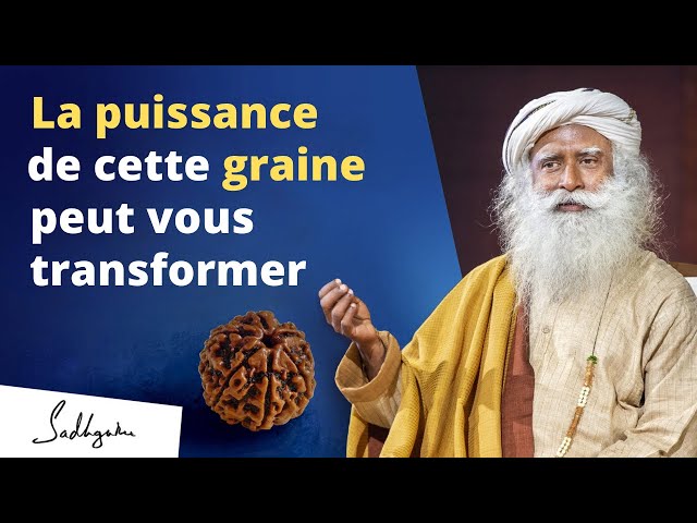 Cette graine vous protègera des énergies négatives | Sadhguru Français