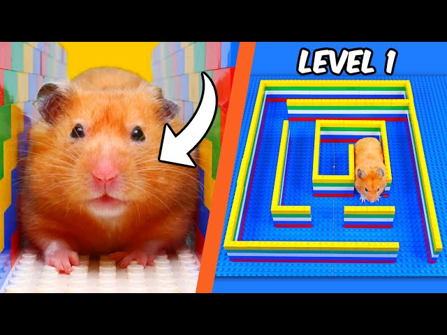 I built a LEGO MAZE for a HAMSTER...