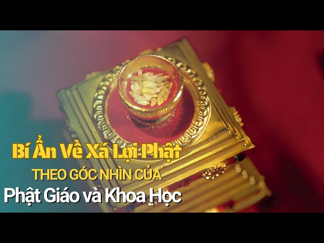 Bí Ẩn Về Xá Lợi Phật Theo Góc Nhìn Của Phật Giáo Và Khoa Học | Phật Pháp Và Cuộc Sống