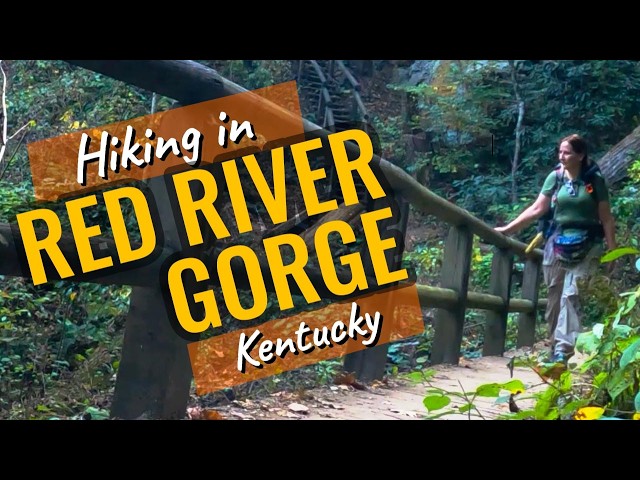 3 incredible hikes in Red River Gorge KY - Angel Windows, Chimney Top & Natural Bridge