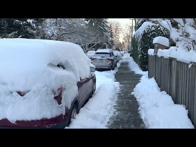 And Even More Snow. Massive Snow Dump in Vancouver - Wednesday 21st December 2022 | BCstorm