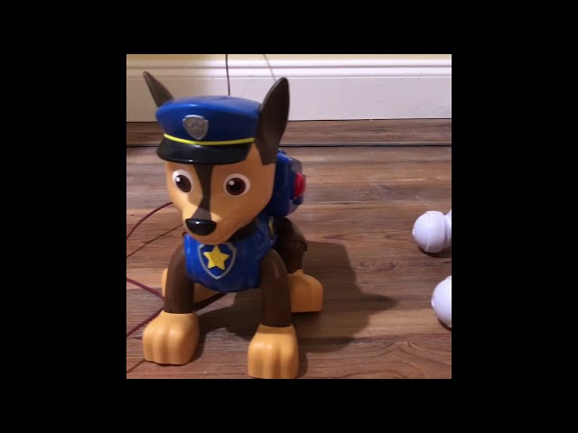 Top 5 weirdest Paw Patrol toys 🐕 🚒 🚔