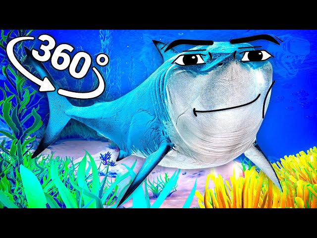 Gegagedigedagedago - Shark in 360° Video | VR / 8K | ( Shark Gegagedigedagedago meme )