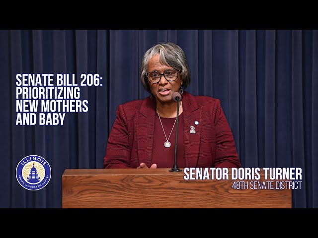 Senate Bill 206 - Sen. Turner Outlines Measure to Prioritize New Mothers