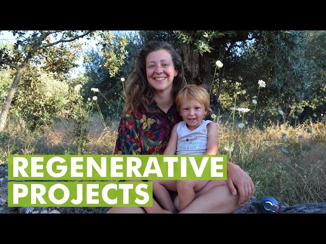 5 Small Scale Regenerative Projects to Restore the Land