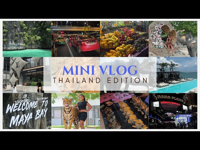 Thailand Mini Vlog | Phuket + Bangkok | Phi Phi Island | YONA floating beach club | tigers+elephants