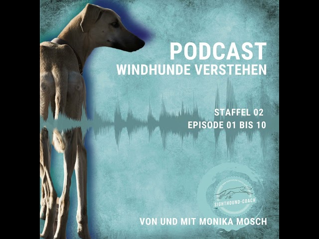 Windhunde verstehen - Staffel 02 - Save the Date