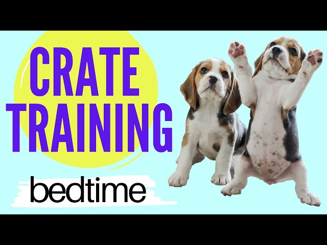 How to Crate Train a Puppy at Night - Puppy Crate Training