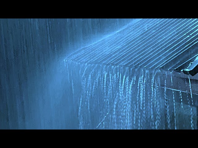 🔴 Heavy Rain on a Tin Roof for Sleeping 24/7, Sleep Instantly with Rain Sounds & Thunder at Night