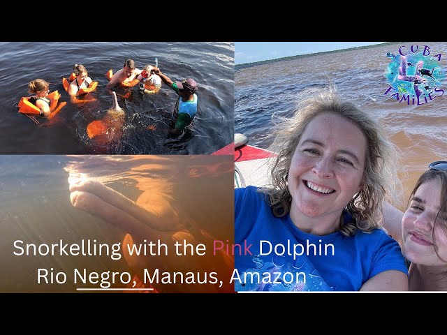 Snorkelling with the Pink Dolphin - Rio Negro - Manaus, Amazon