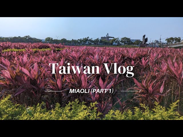 2 Weeks in Miaoli (Taiwan) | local eats, night market, coffee, haircut | Pt 1