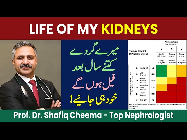 What is Life of my Kidneys ?? #ckd #egfr #proteinuria #drshafiqcheema