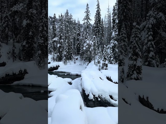 Snow wonderland - Banff in Winter 241226