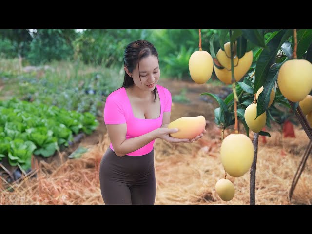 From Garden to Table: The Daily Life of a Farm Girl Harvesting, Planting and Cooking